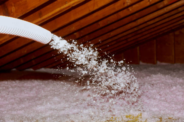 Best Crawl Space Insulation  in Hidden Hills, CA