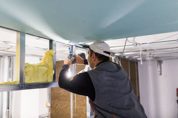 Best Blown-In Insulation  in Hidden Hills, CA