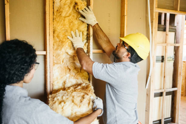 Best Attic Insulation Installation  in Hidden Hills, CA